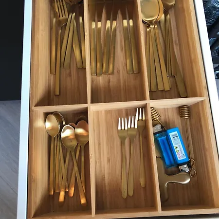 The Gentle Arch Schiphol Amsterdam אלסמיר