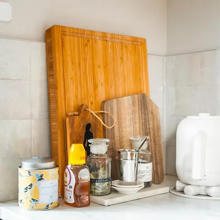 The Gentle Arch Schiphol Amsterdam Lejlighed Aalsmeer